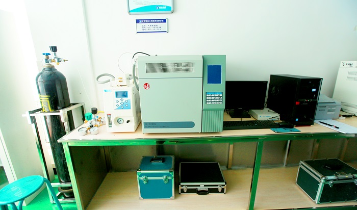 GC-4000A型气相色谱仪